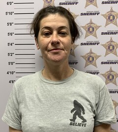 Mugshot of HOLZER, HEATHER MICHELE