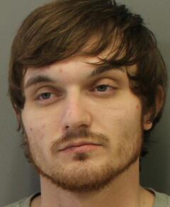 Mugshot of REED, TRENTON TURNER