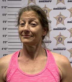 Mugshot of LONG, SONJA NICHOLE