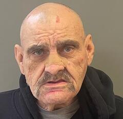 Mugshot of JOHNSON, RONDALL EARL