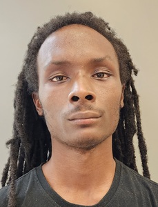 Mugshot of LEE, GARRIAUN DONYAE