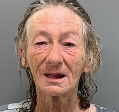 Mugshot of FITE, KATHY EARLY 