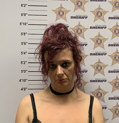Mugshot of FRANCIS, DANIELLE RENA