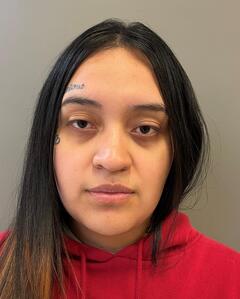 Mugshot of MARTINEZ, YAMILE ZUNIGA
