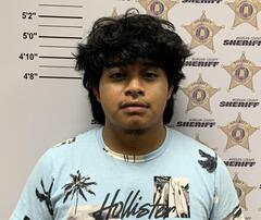 Mugshot of VARGAS VARGAS, MANUEL FERMIN