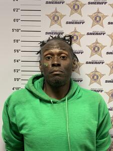 Mugshot of JACKSON, SHELBY LEWIS