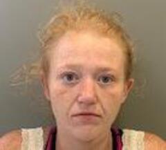 Mugshot of BISE, CHRISTINA LYNN