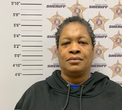 Mugshot of DAVIDSON, TINA KAYE