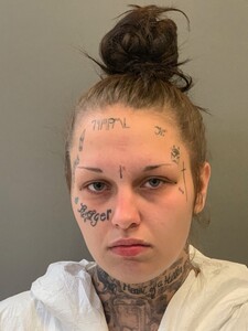 Mugshot of LAMPKIN, CHELSIE NICOLE