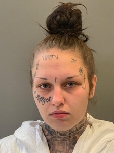 Mugshot of LAMPKIN, CHELSIE NICOLE 