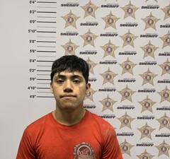 Mugshot of FERNANDO, PEDRO