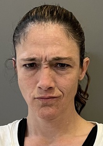 Mugshot of MALLARD, LAURA FAYE