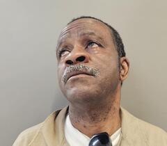 Mugshot of BROOKS, RONNIE LEE