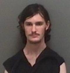 Mugshot of PERKINS, CHRISTIAN ADAHY