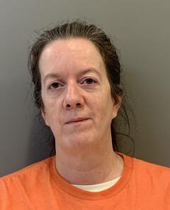 Mugshot of RICHARDSON, LISA DUNCAN