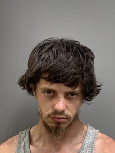 Mugshot of MAPLES, DYLAN RAY 