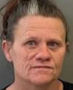 Mugshot of CHANEY, BARBARA MAE