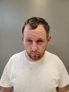 Mugshot of BROWN, DAVID OLVIN