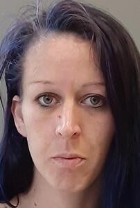 Mugshot of WELLS, ASHLEY NICOLE
