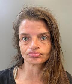 Mugshot of MILLER, LISA DIANNE