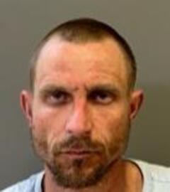 Mugshot of MCNABB, ROBERT WAYNE