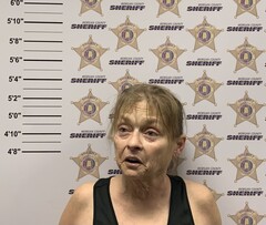 Mugshot of WILLIS, CHRISTY MARDIS