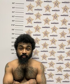 Mugshot of JOHNSON, DEMETRIUS DUSHAWN 