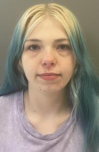 Mugshot of POLSTON, SARAH FAYE