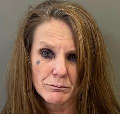 Mugshot of DANIEL, SONYA RAYE