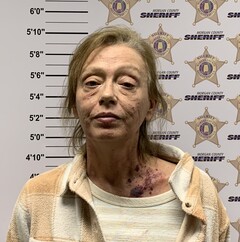 Mugshot of DAVIS, SHARON