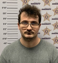 Mugshot of WILLIS, BRANTLEY