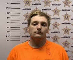 Mugshot of FREEMAN, MARK JACKSON
