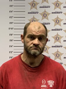 Mugshot of REEVES, JOSHUA JAMES