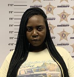 Mugshot of VINSON, TAMARA LASHAE