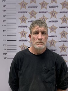 Mugshot of WILBOURN, NIKKI DALE