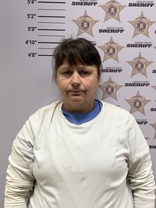 Mugshot of HERNANDEZ, LEEANN JOHNSON