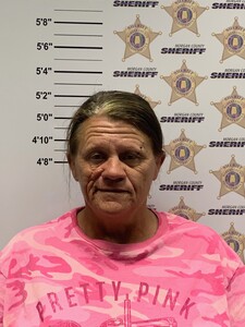 Mugshot of CHANEY, BARBARA MAE 