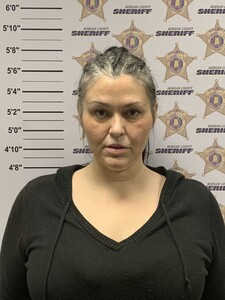 Mugshot of LINN, RACHEL ANNE