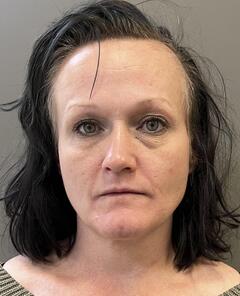 Mugshot of BROWN, STEVI LYNN