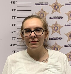 Mugshot of WRIGHT, ASHLEY NICOLE