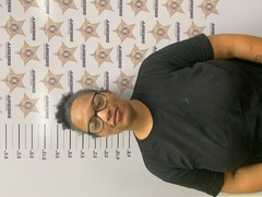 Mugshot of LANGFORDBANKS, ALYVEYA KARLIK