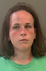 Mugshot of PANNELL, KIMBERLY PAULINE