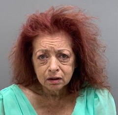 Mugshot of WHITTLE, DONNA KNIGHT
