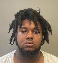 Mugshot of WELLS, TRAVIS SANTELL