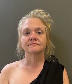 Mugshot of WILLIAMS, LISA MICHELLE KEITH