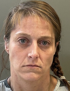 Mugshot of BEERMAN, DANA MICHELLE