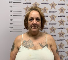 Mugshot of HOOD, MICHELE LYNN